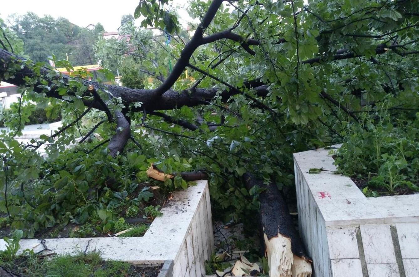 Sve ekipe na terenu: Normalizira se stanje u Kaknju nakon nevremena