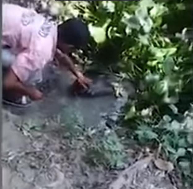 Muškarac pokušao dodirnuti krokodila, a onda je zadobio teške povrede