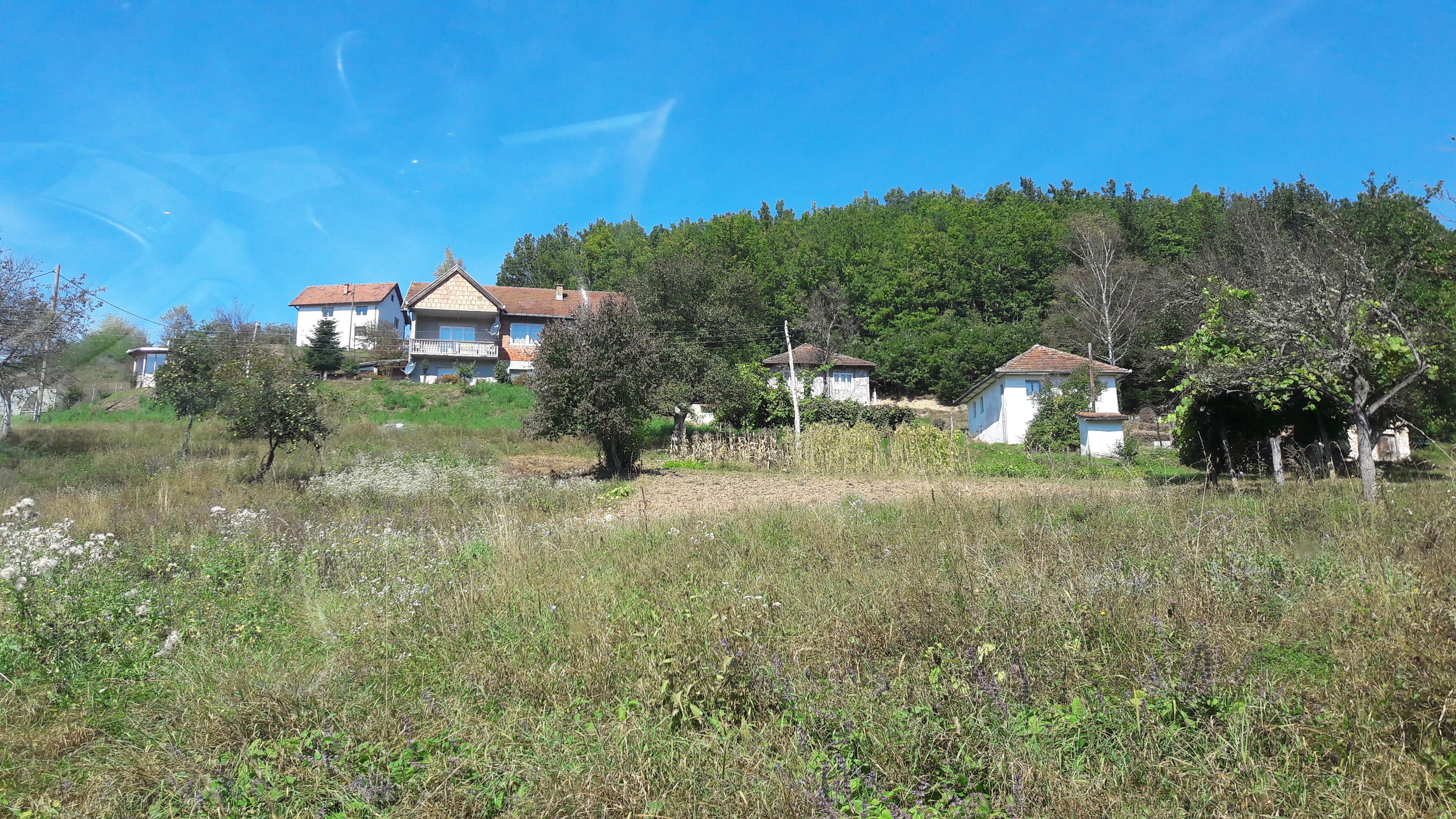 Žena koja je pala s oraha podlegla povredama glave i grudnog koša