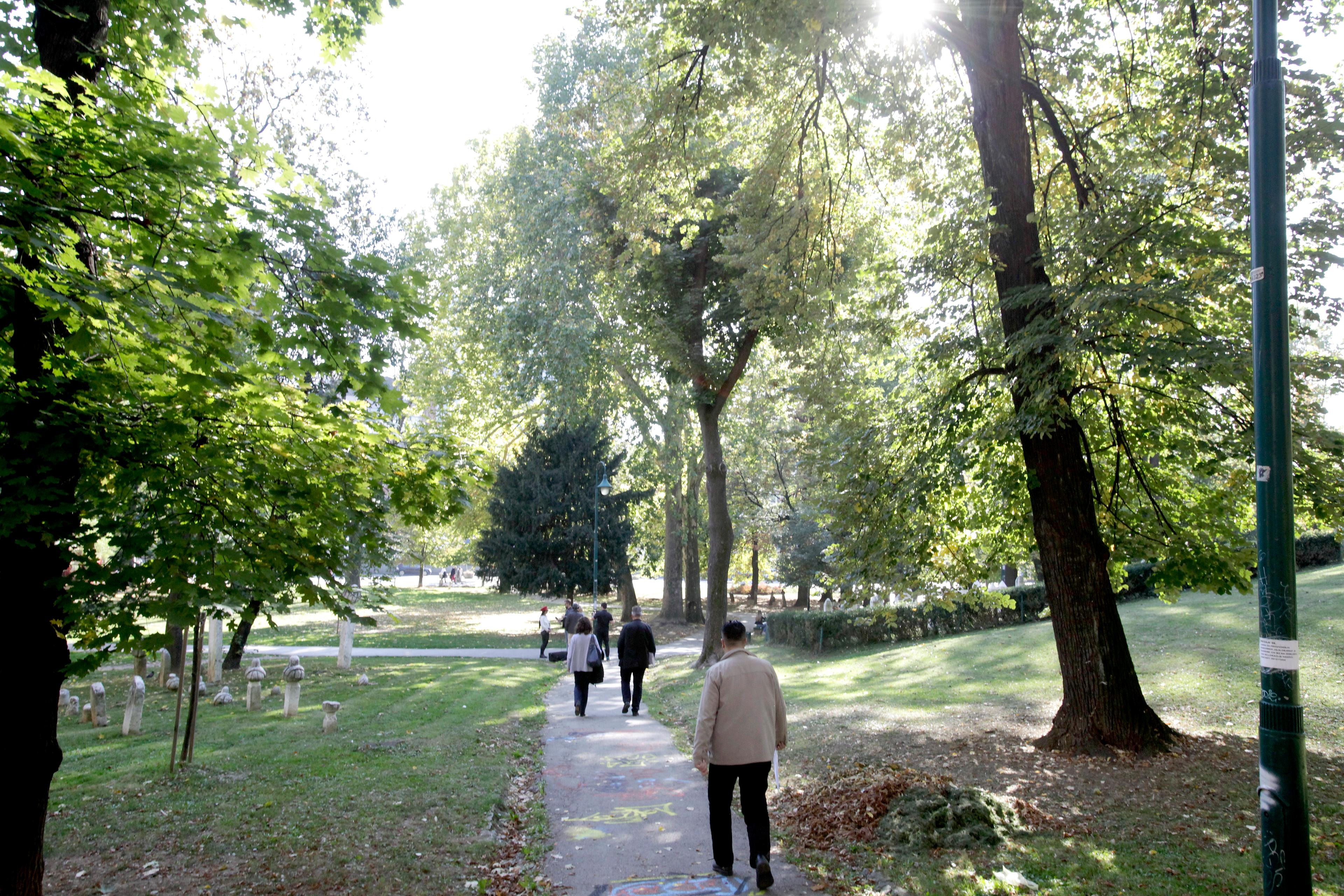 U Velikom parku ima stabala koja je potrebno sanirati - Avaz