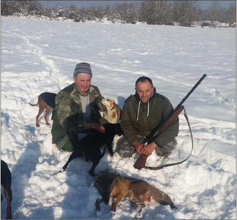 Najezda šakala u Bosanskoj Gradišci