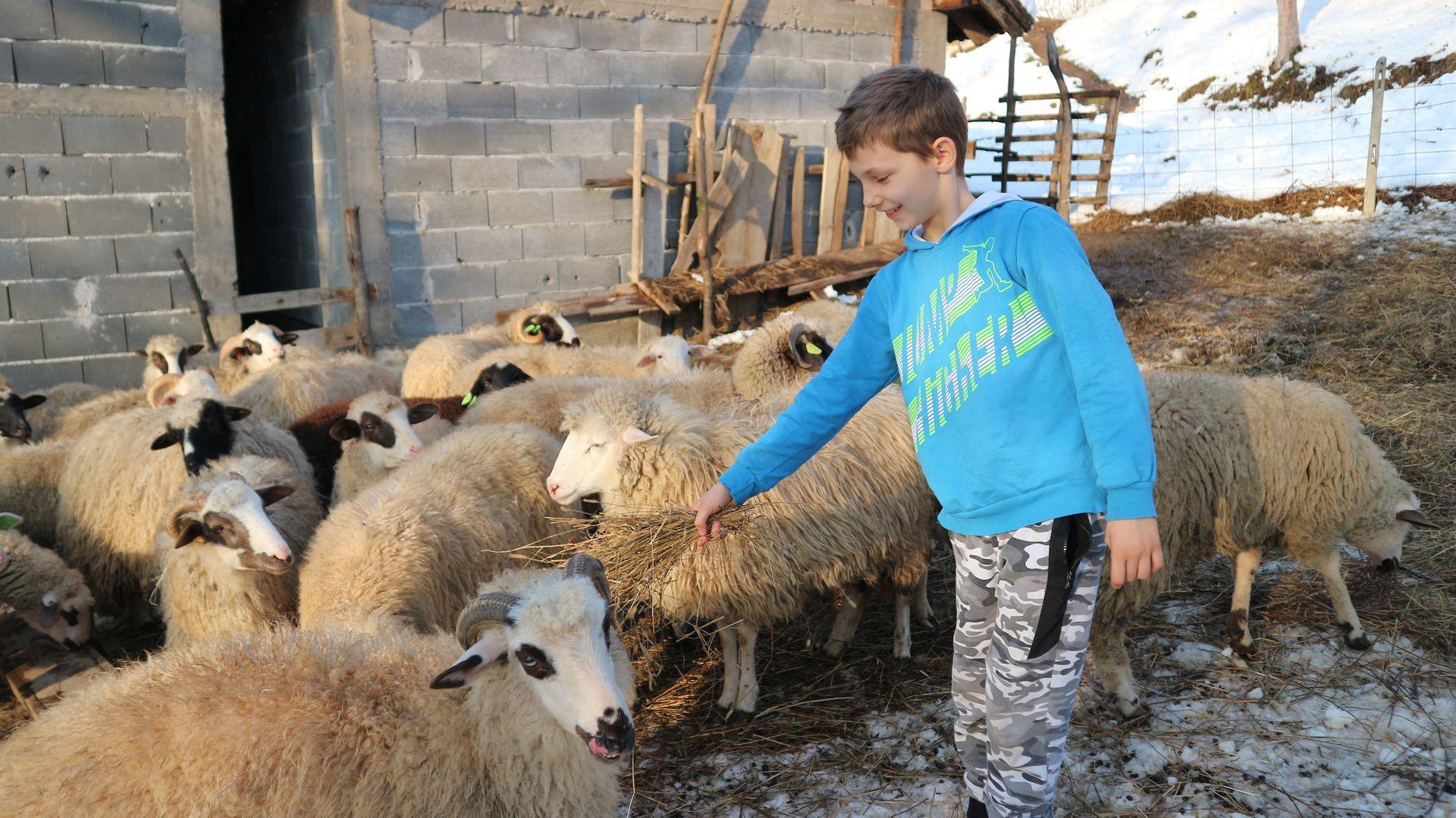 Umjesto igrački skuplja ovce, od bajramskog džeparca kupio kauč i janje