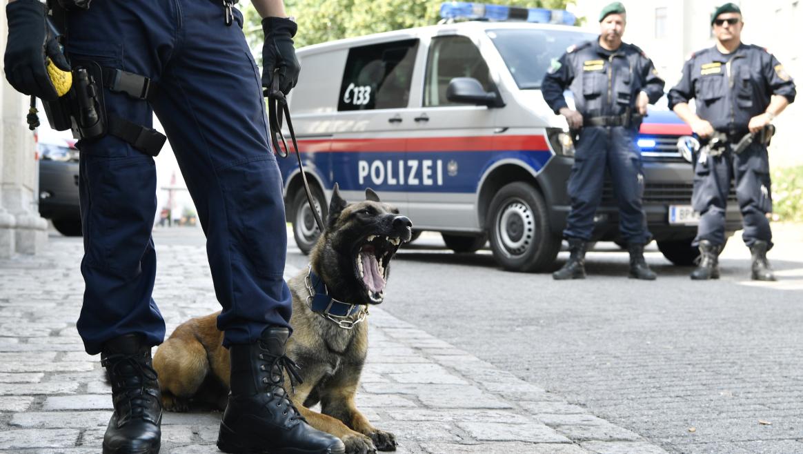 Austrija: Hrvat uhapšen zbog ilegalne trgovine oružjem - Avaz