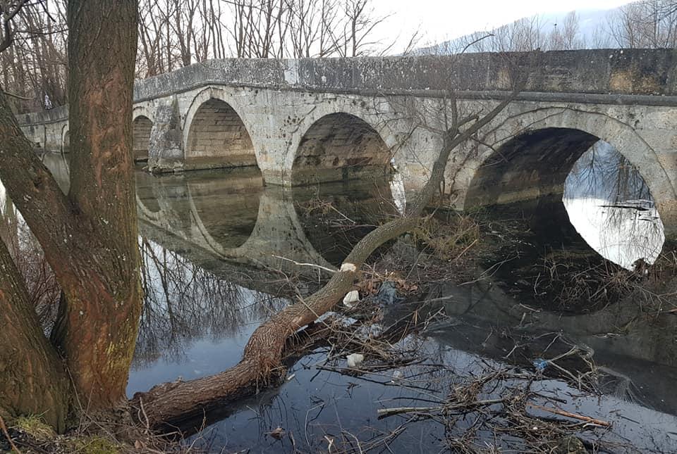 Drvo koje se srušilo u rijeku niko ne odvozi - Avaz