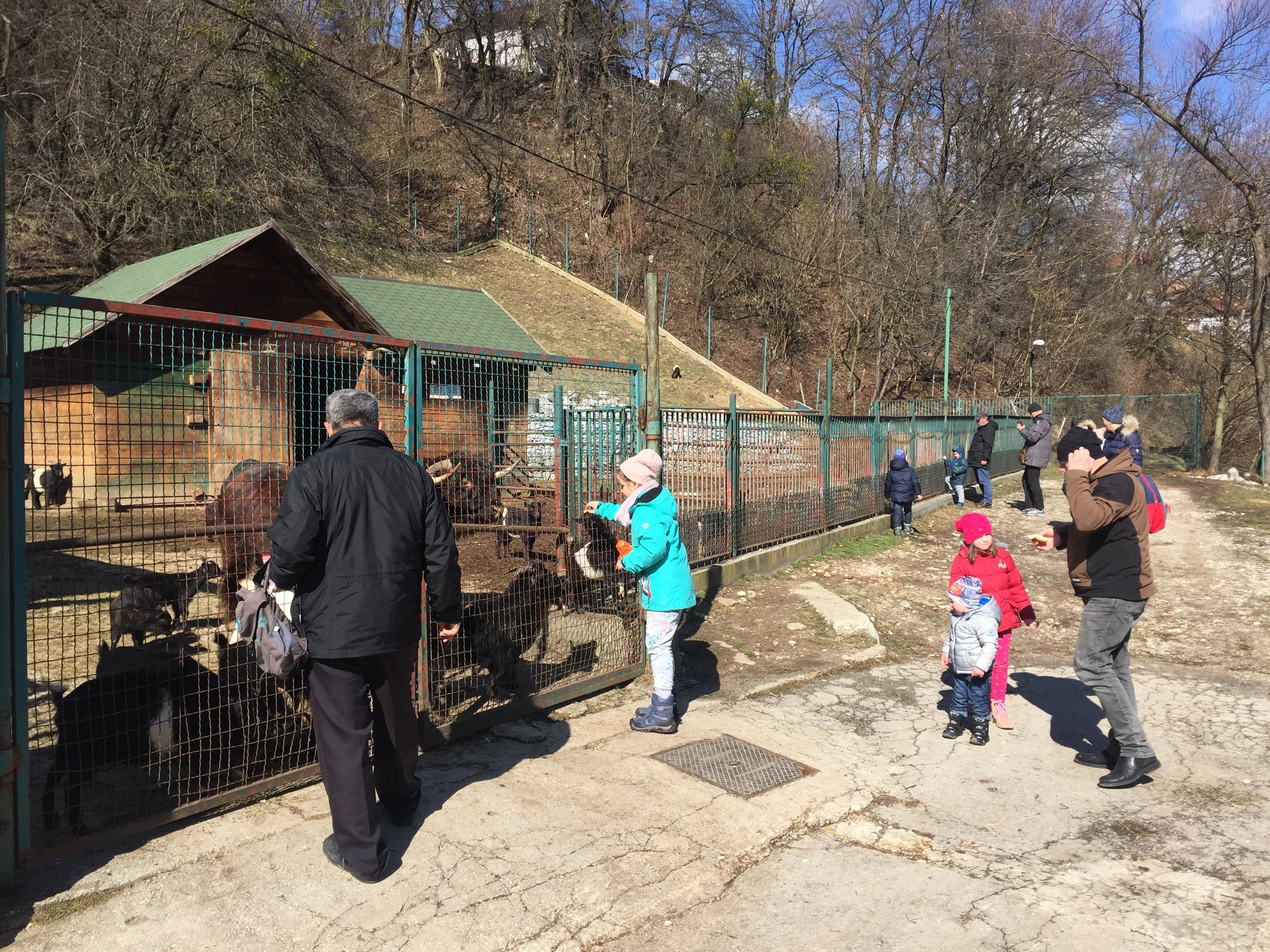 Brojni građani uživali u Pionirskoj dolini - Avaz