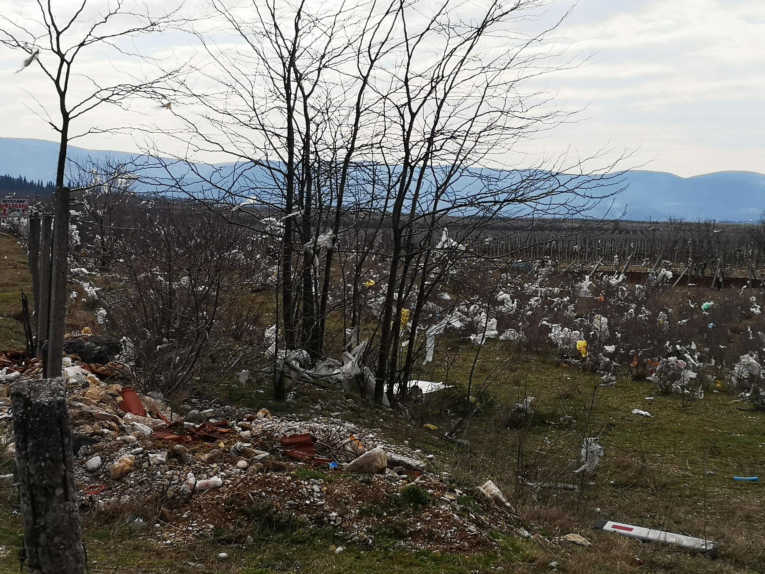 Održana akcija čišćenja - Avaz