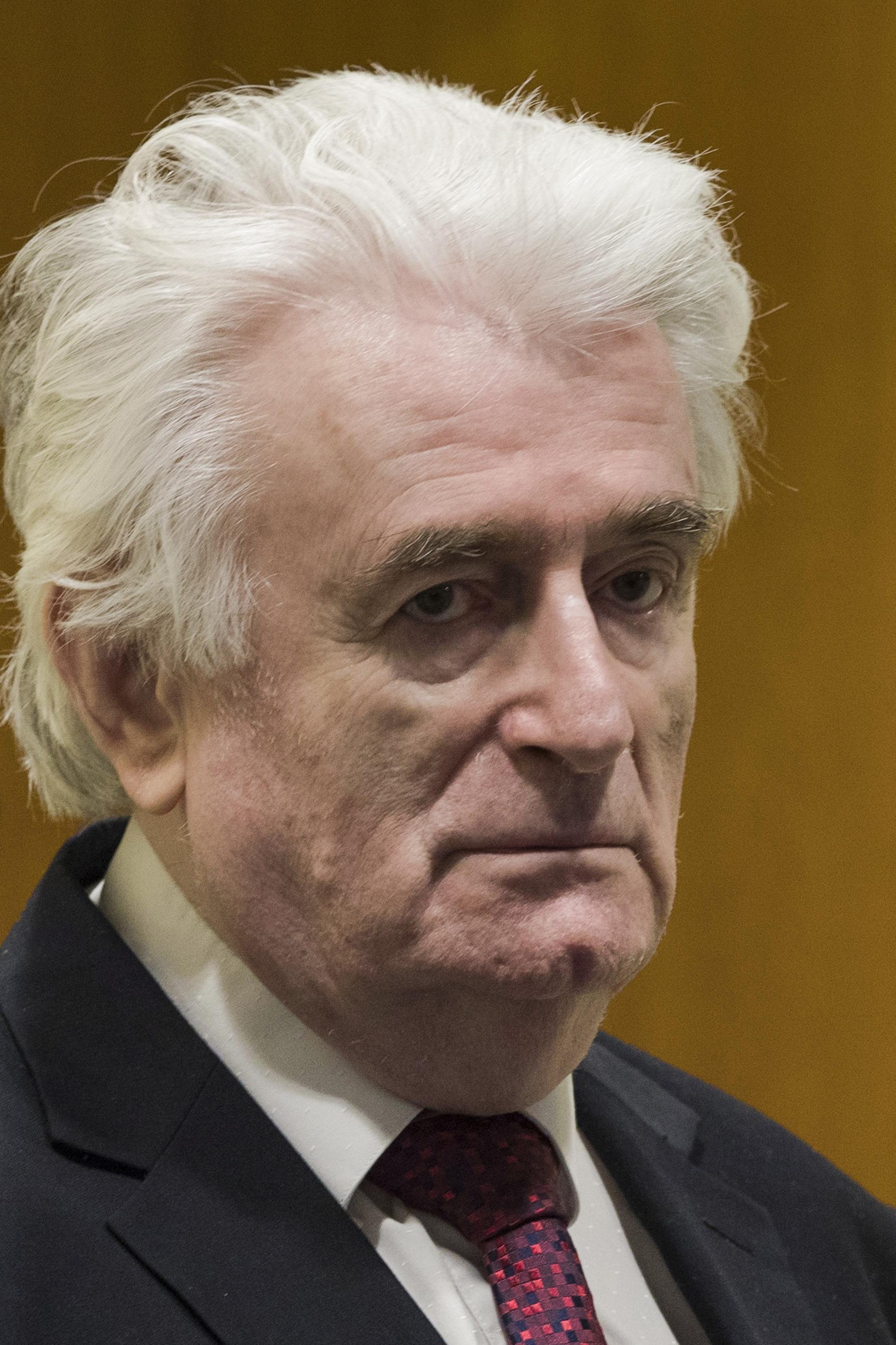Krvnik Radovan Karadžić će zahtijevati da služi kaznu u Srbiji