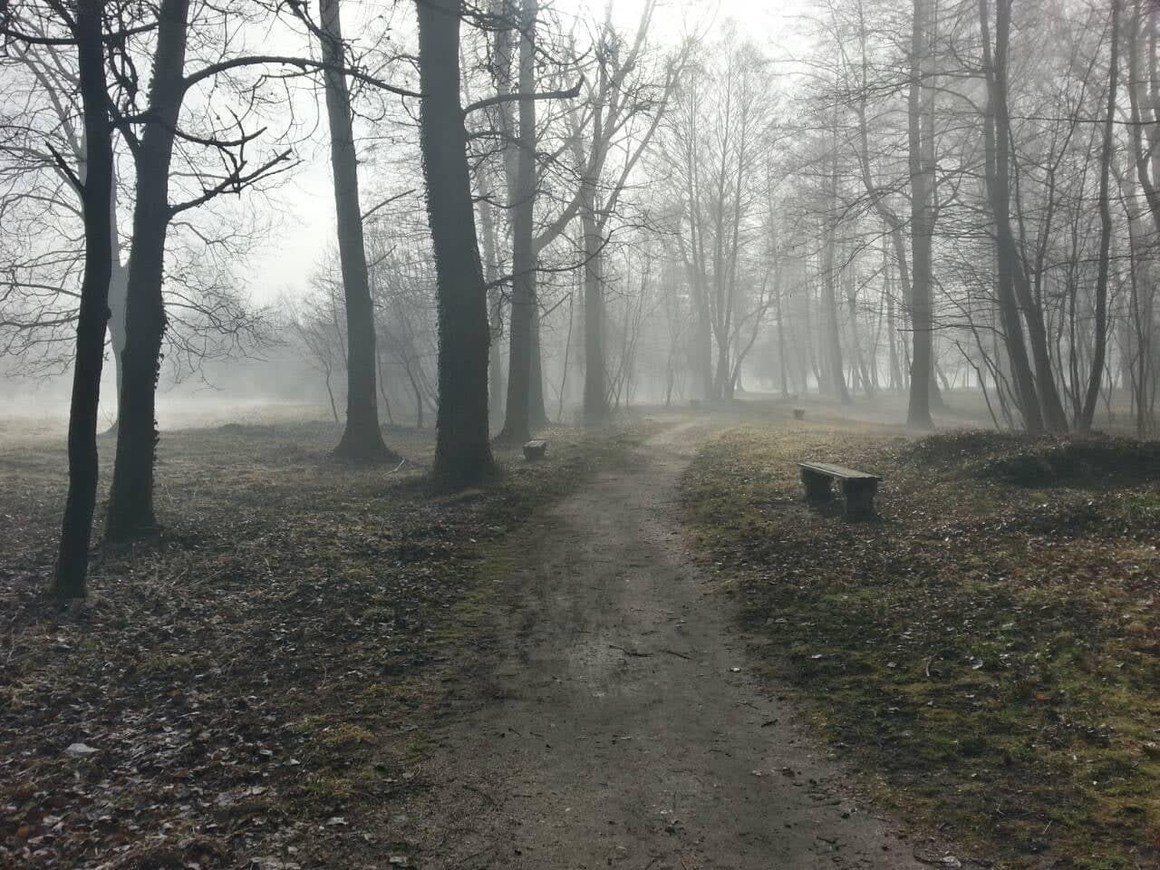 Vrelo Bosne - Avaz