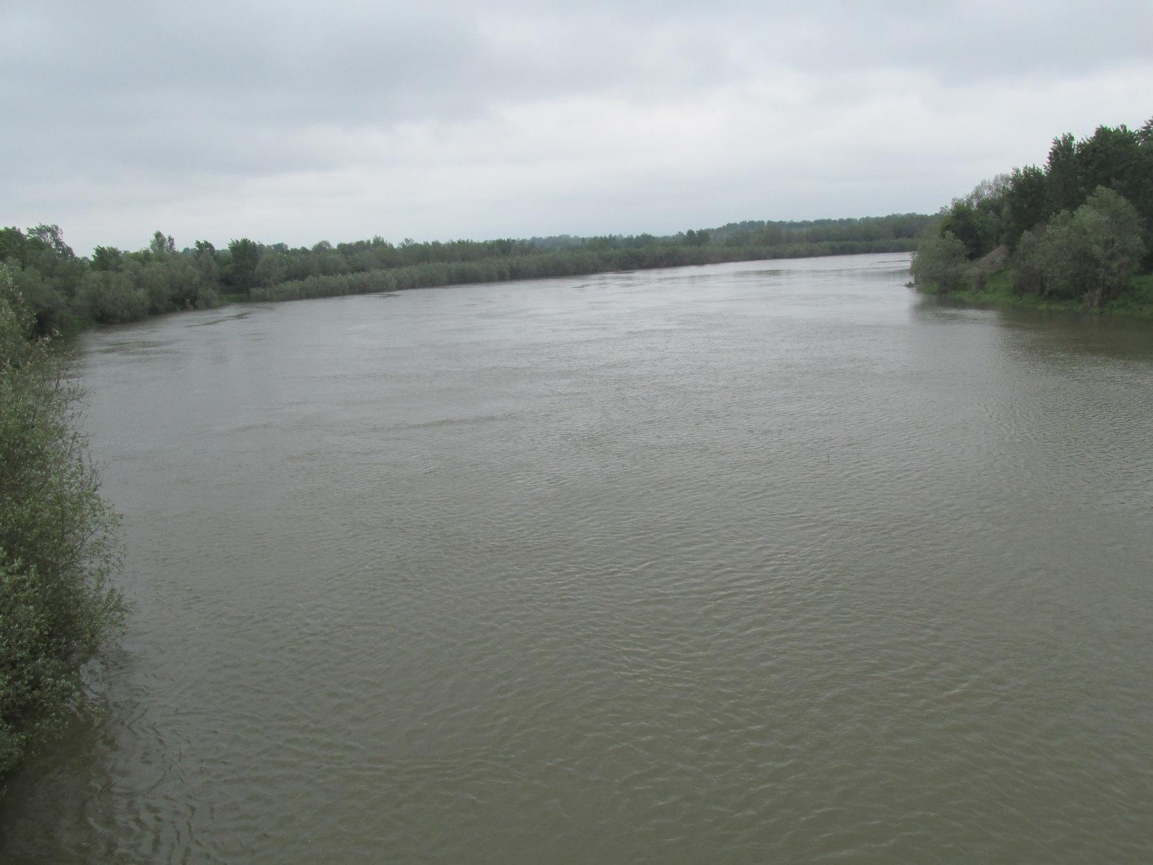 Sava i Bosna u koritu - Avaz