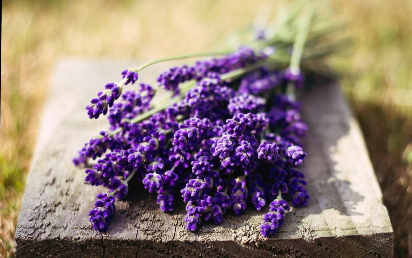 Lavanda za dušu i tijelo