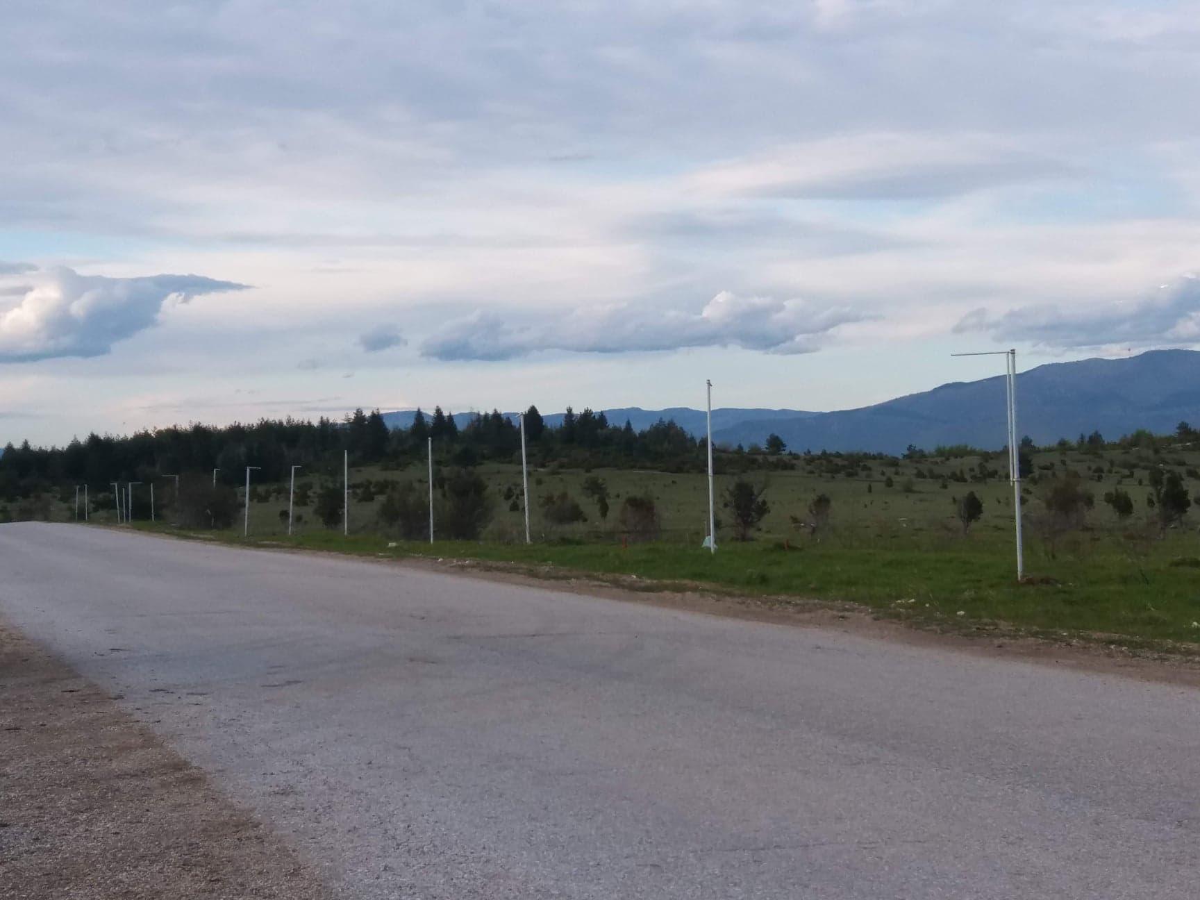 Ogoljeni jarboli pored ceste - Avaz