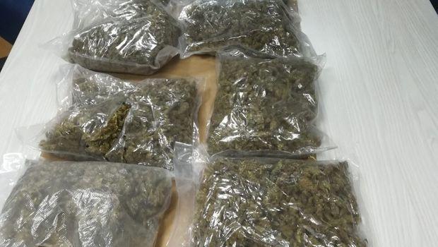 U kući policajca iz Vranja pronađeno 20 kilograma marihuane