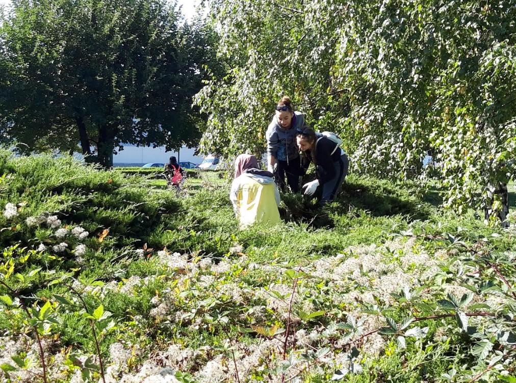 Aktivisti detaljno svaki grm pojedinačno - Avaz