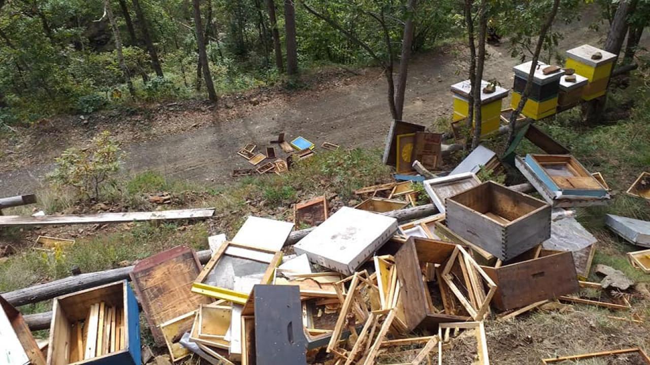 Uništene košnice na koje je naišao biciklista - Avaz