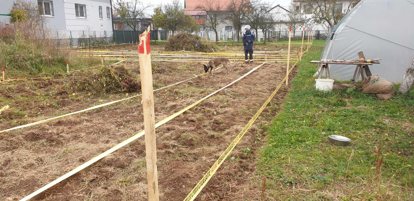 Deminiranje na lokalitetu Donji Kotorac - Avaz