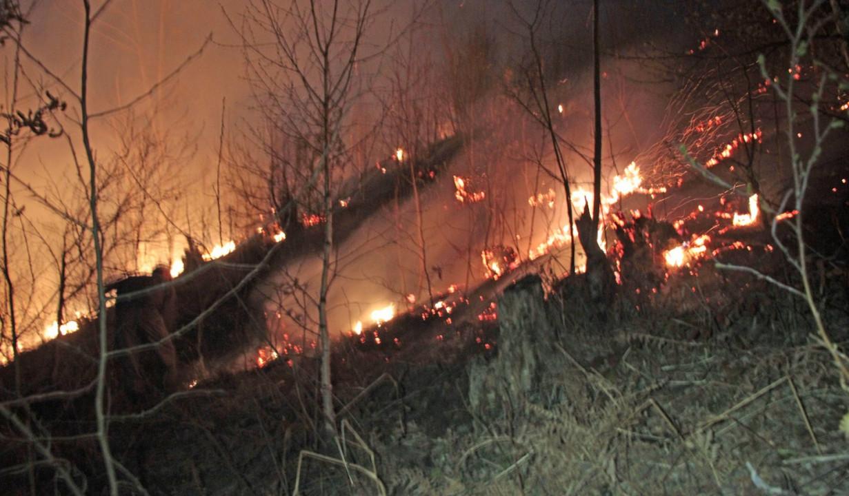 Vatra se približila naseljima - Avaz