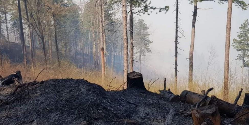 Stanje pod kontrolom - Avaz