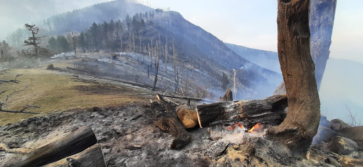 Posljedice požara na Rujištu - Avaz