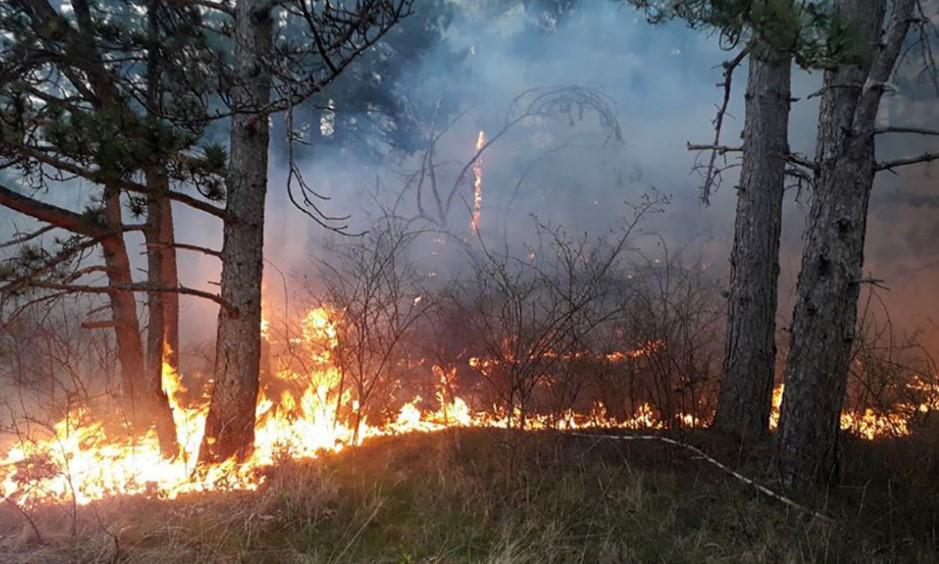 Kiša ugasila požare u istočnoj Hercegovini