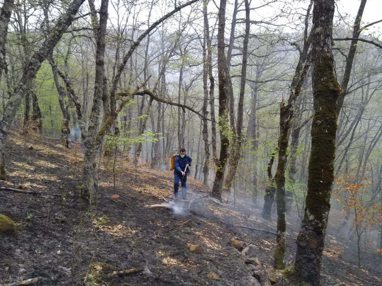 U gašenju učestvovali i općinari