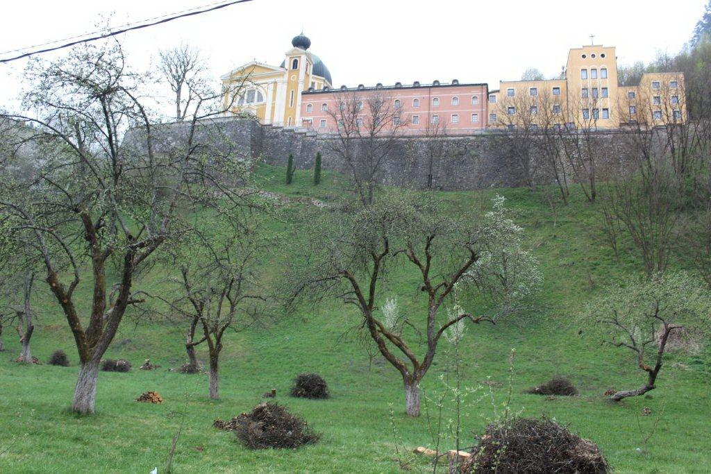 Zasađeno 500 do 600 raznih vrsta stabala - Avaz