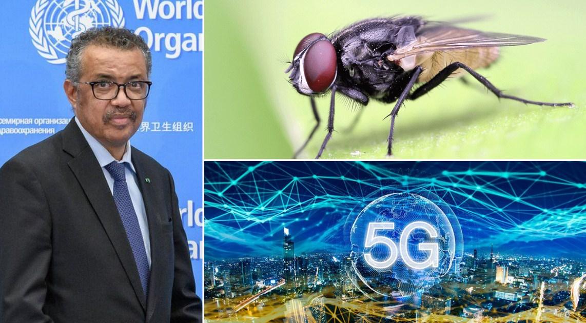 WHO razotkrio mitove o koronavirusu: O toplom vremenu, 5G mreži, muhama...