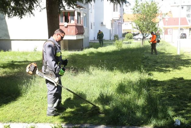 Radnici uređuju nisko rastinje - Avaz