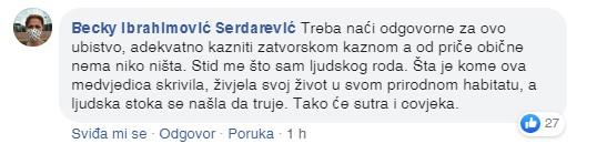 Dnevni avaz