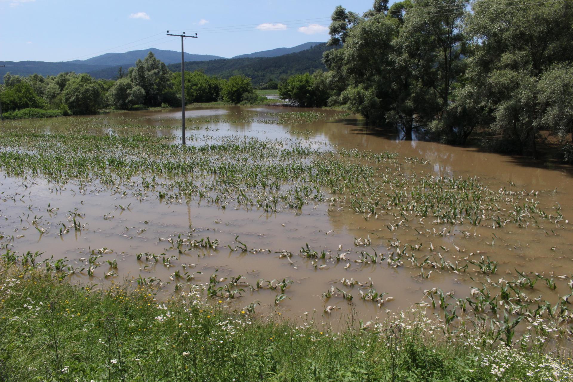 Sprečko polje pod vodom - Avaz