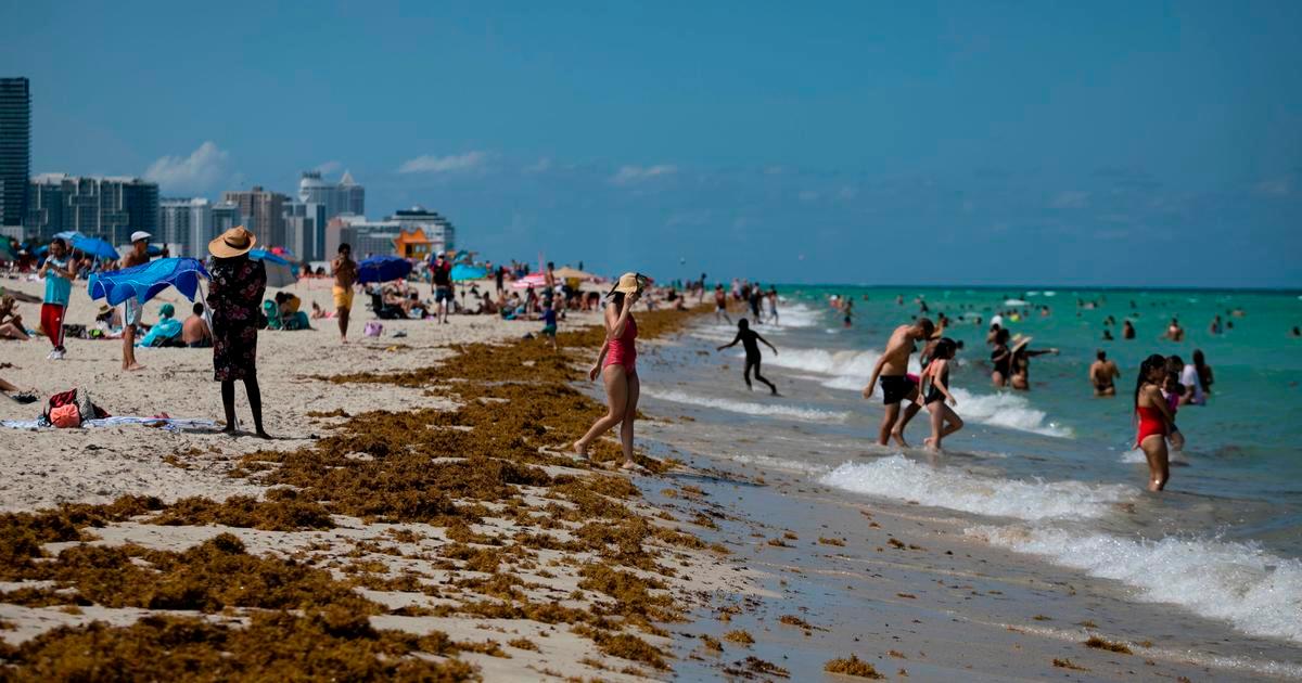 Florida: Policajac u posljednji trenutak spasio dječaka pred naletom ajkule