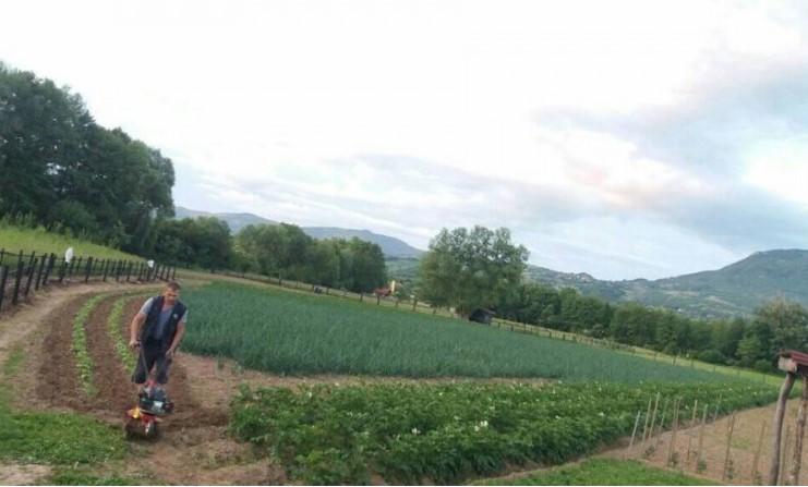 Dobre vijesti iz otkupnih stanica na teritoriji bugojanske općine obradovale su uzgajivače malina - Avaz