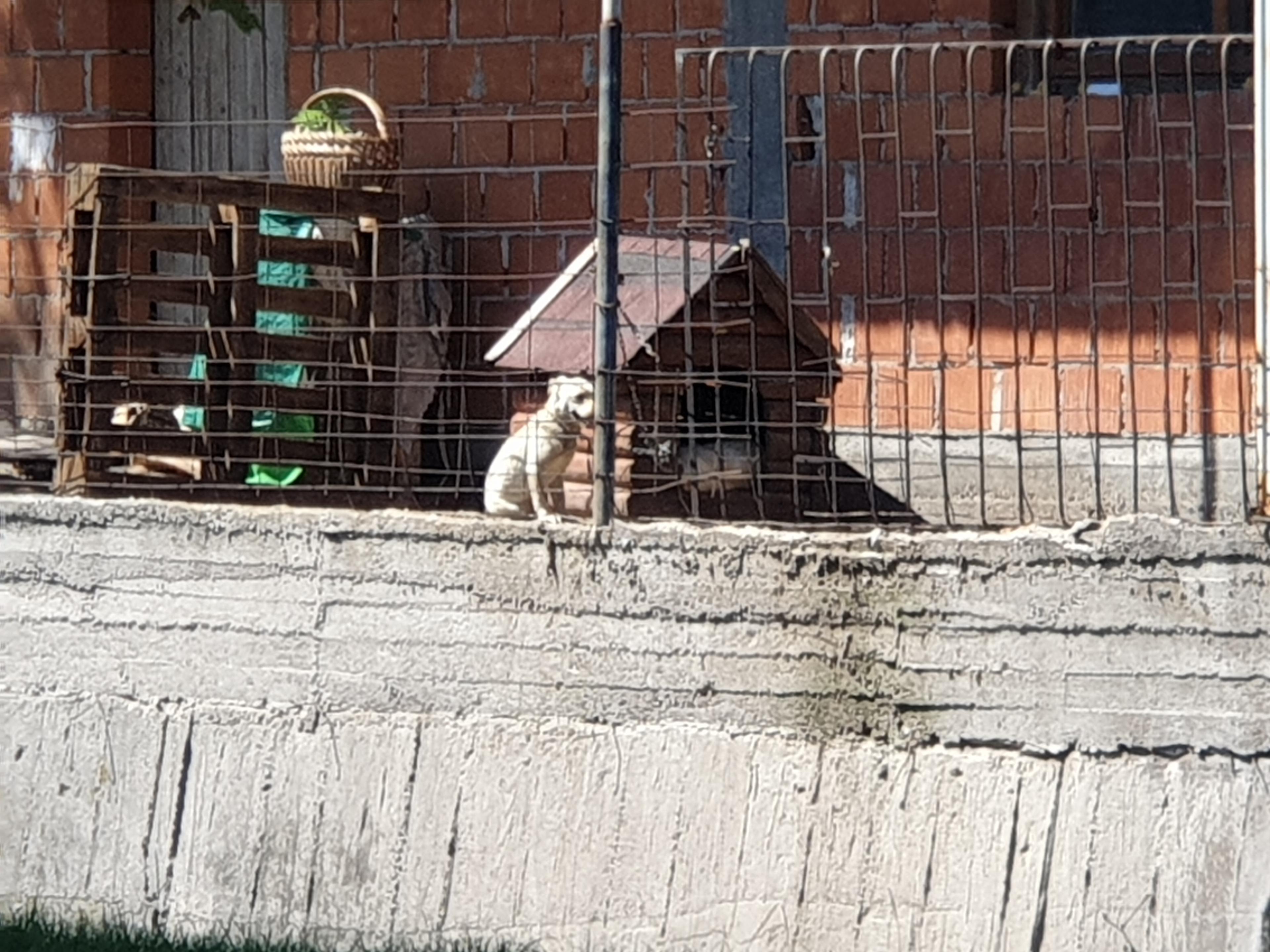 Ekipa udruženja izašla je na teren - Avaz