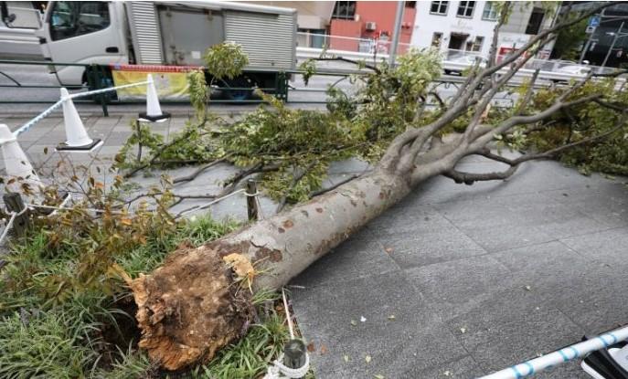 Meteorlozi su danima unaprijed upozoravali na rekordnu oluju i žestoke kiše - Avaz