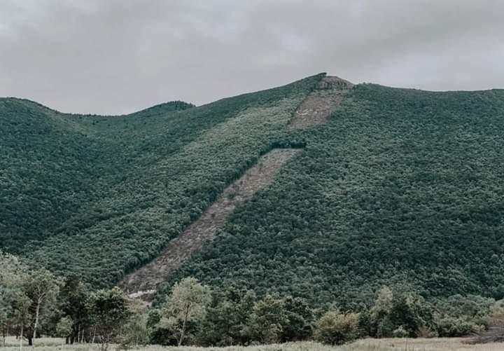 Sječa šume na Plješevici - Avaz