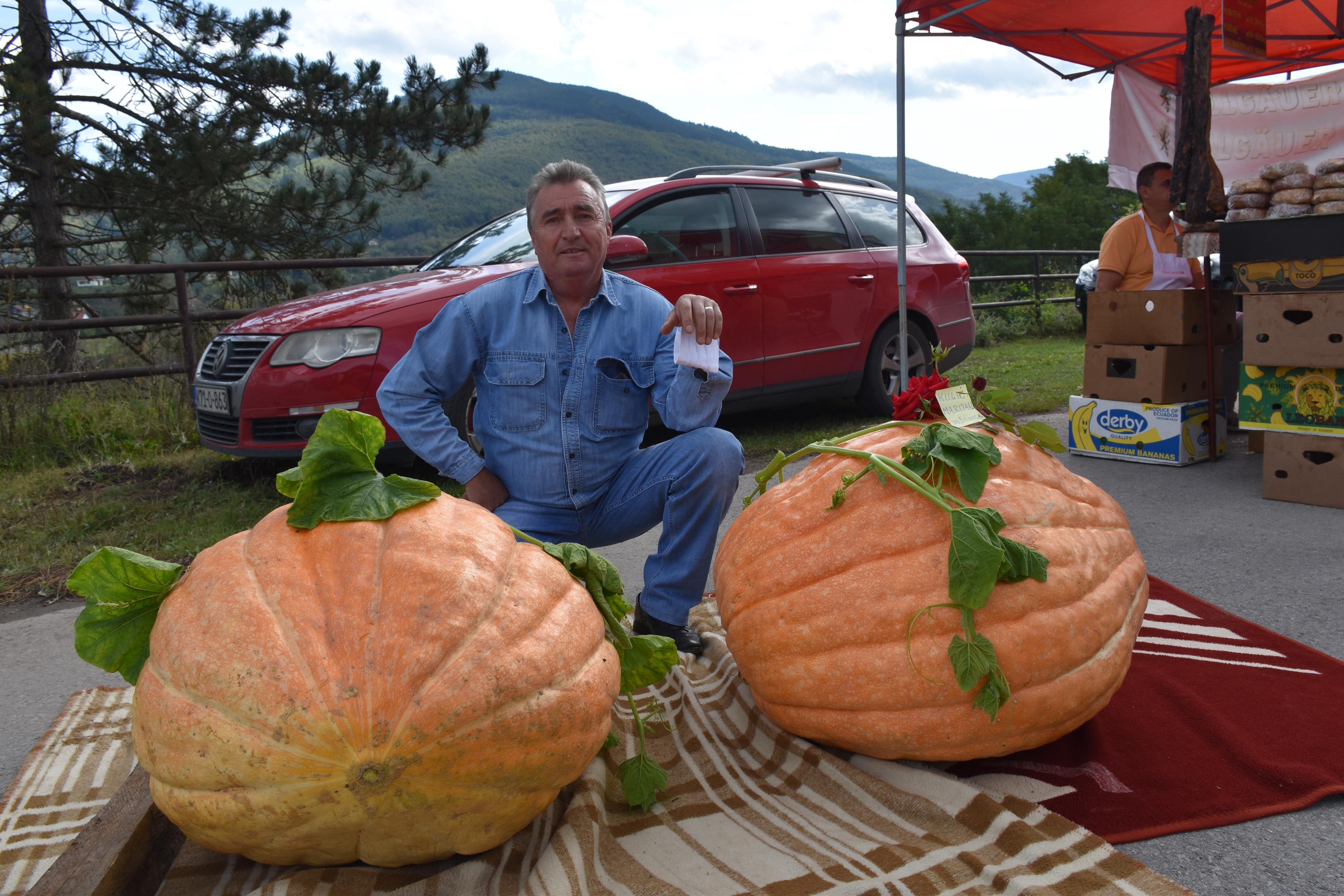 Poljoprivrednici izložili džinovske tikve teške po 100 kilograma