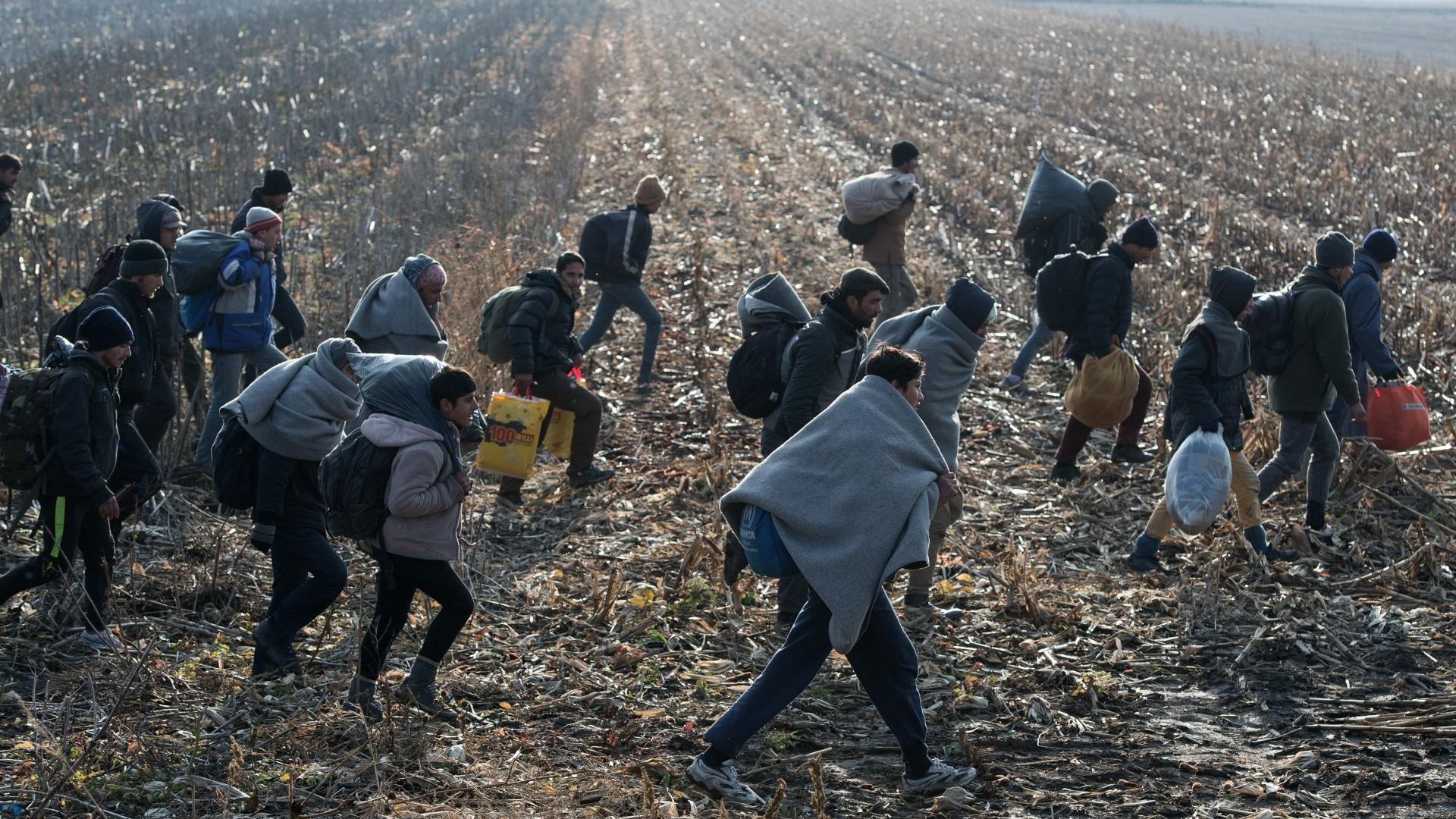 Potrebna bolja kontrola migranata - Avaz