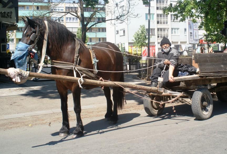 Umro je Šerif Seferović, cijela Bosanska Gradiška tuguje: I svog konja je štitio od koronavirusa