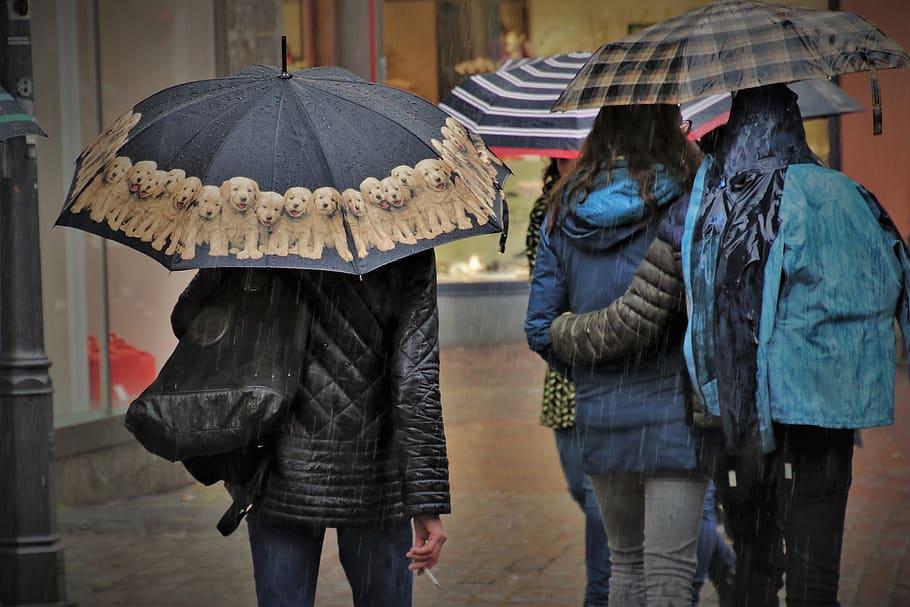 Narednih dana kišovito, ali sa temperaturama do 12 stepeni