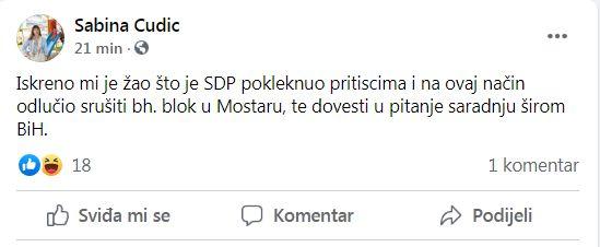 Komentar Sabine Ćudić - Avaz