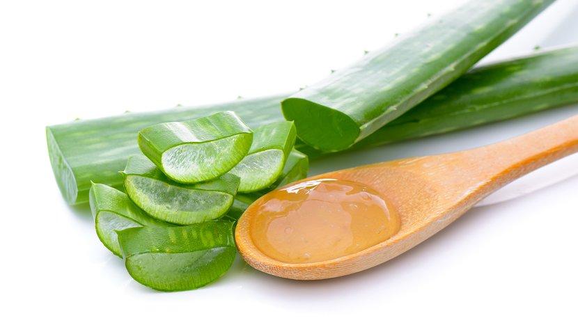 Aloe vera: Saveznik lijepe i zdrave kože