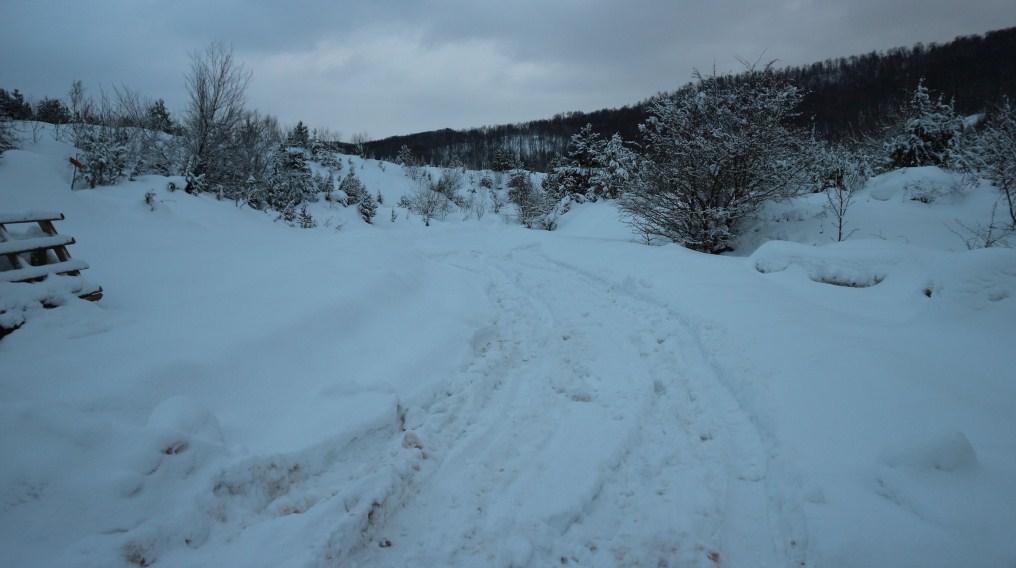 Ponovo zatrpan put za Luku - Avaz