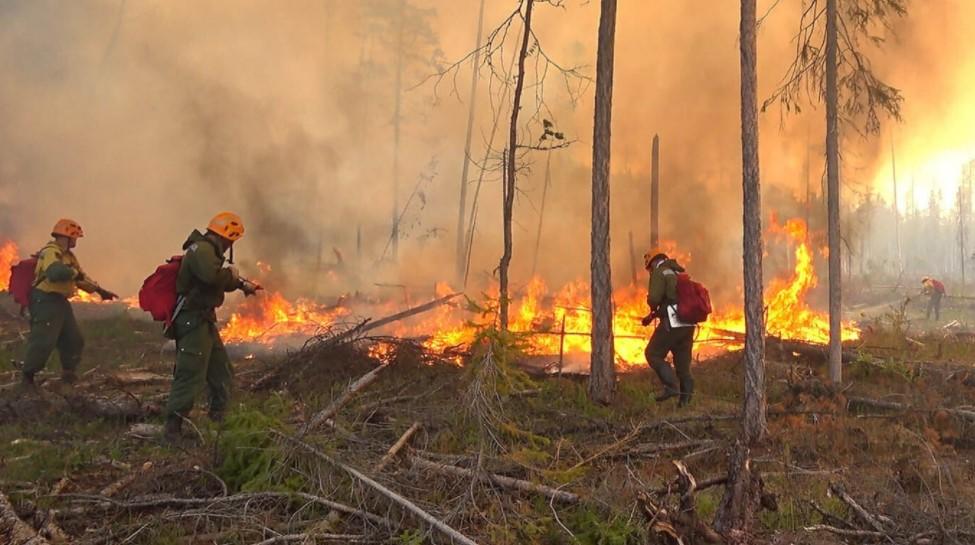 Last year, a heatwave caused by changing climate in northern Siberia helped spark forest fires that blanketed cities including Yakutsk in smoke - Avaz