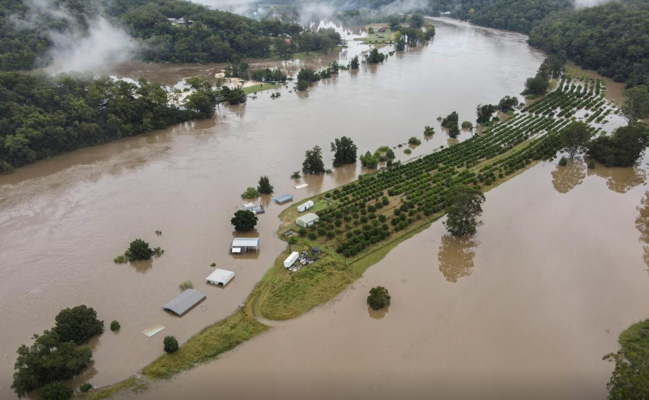 Australian orchard owner fears for family farm as flood waters rise