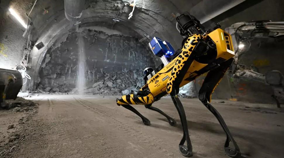 Researchers' new best friend? Robot dog gets to work