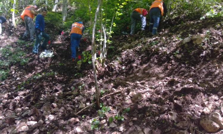 Remains of at least five persons exhumed from a mass grave in Dobro Polje