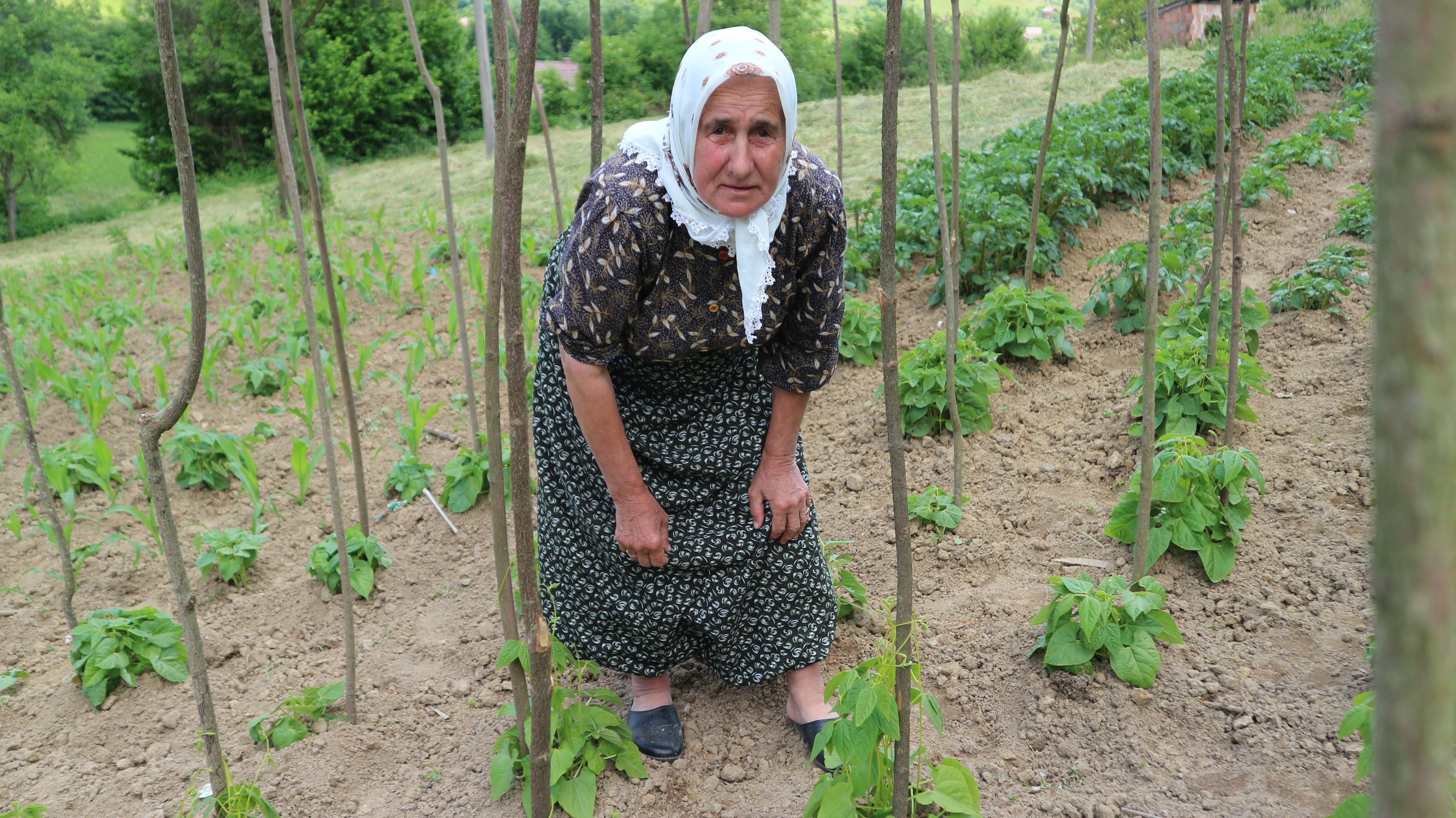 Živi od plodova iz svoje bašče i ramazanskih vitri - Avaz