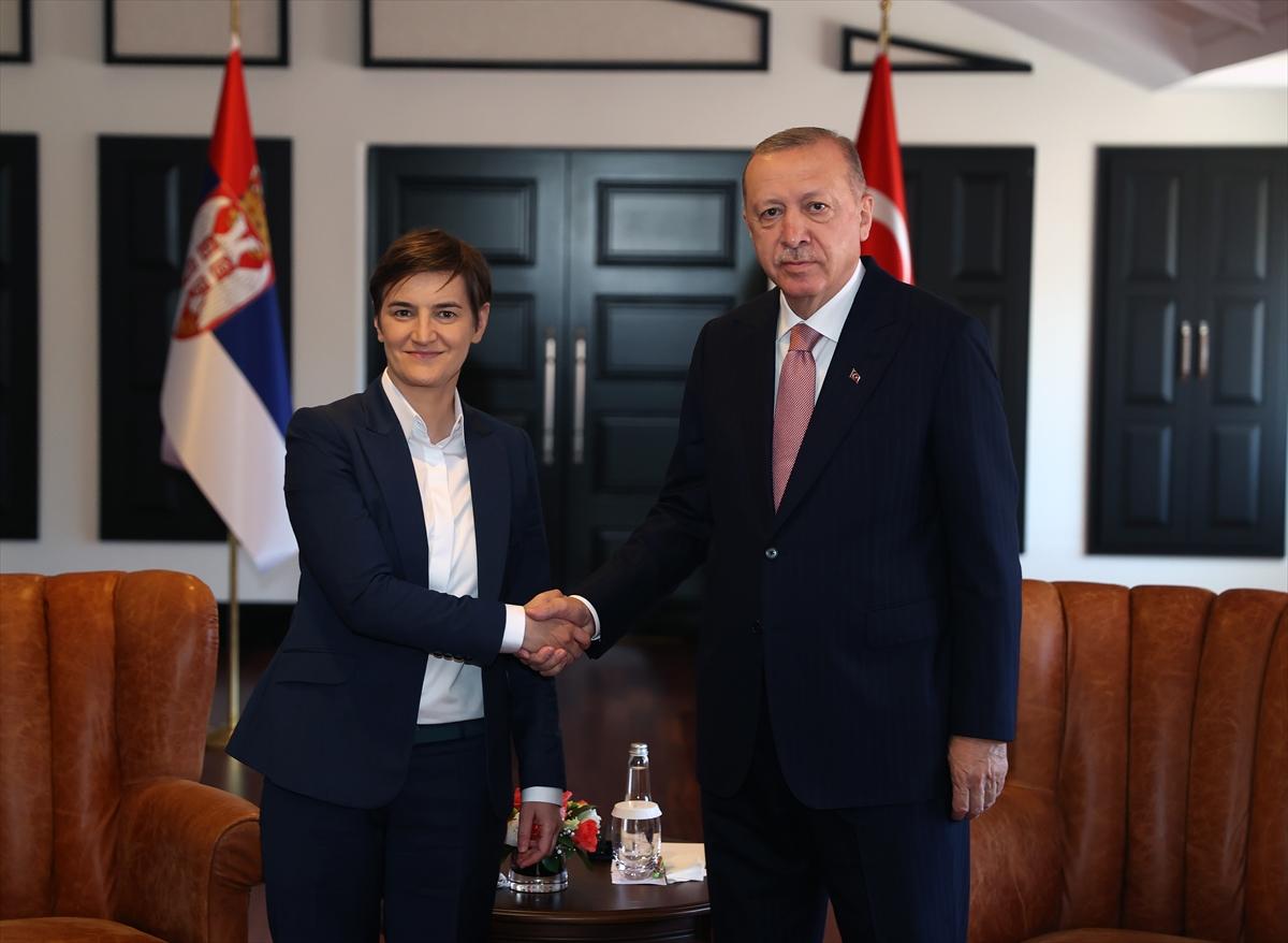 Ana Brnabić i Redžep Tajip Erdoan - Avaz