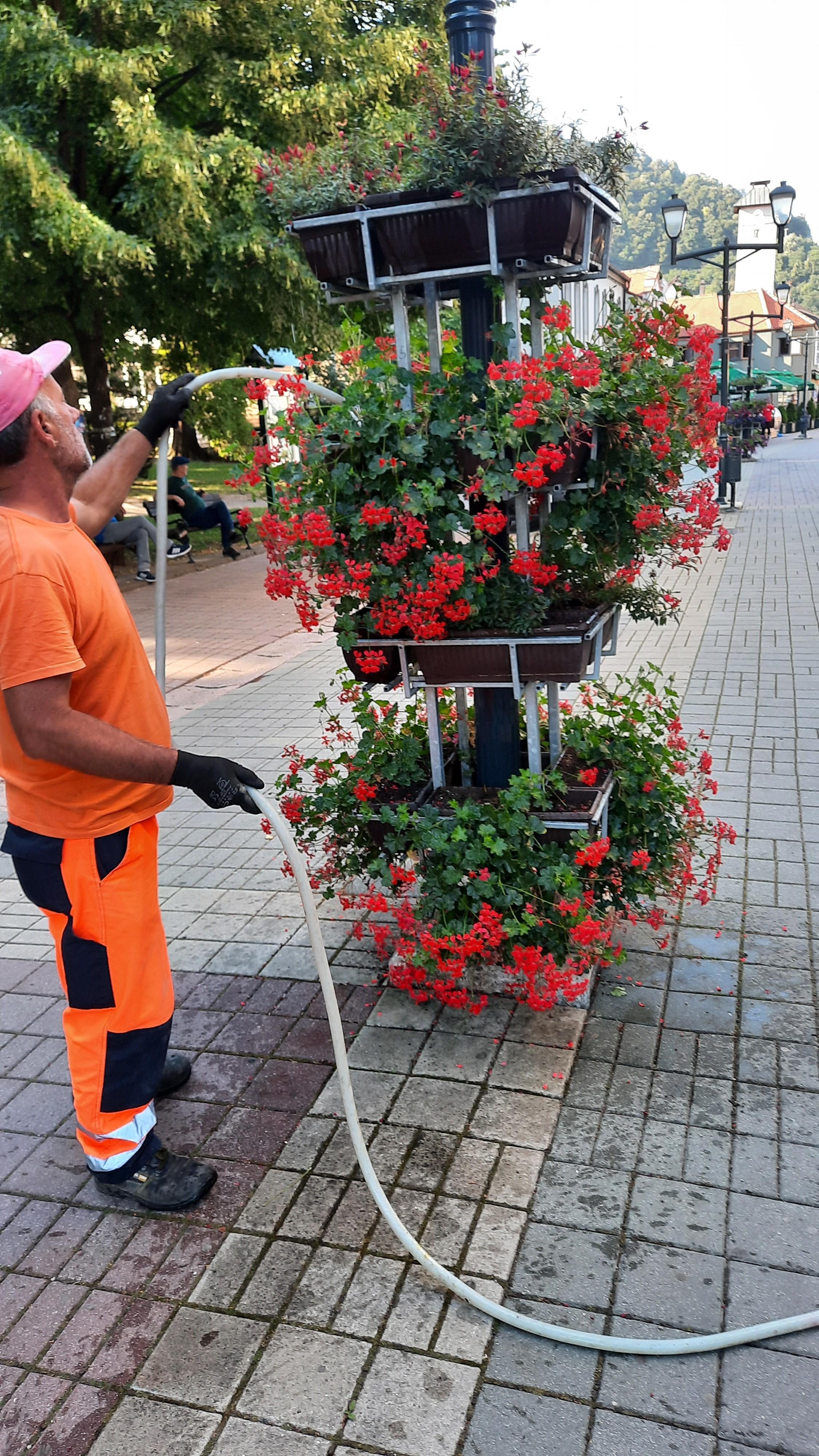 Ukras centralne ulice u Gračanici - Avaz