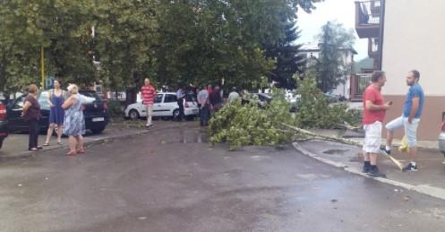 Jako nevrijeme pogodilo Vlasenicu, vjetar obarao stabla