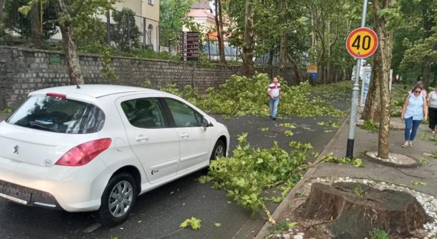 Olujno nevrijeme pogodilo Bihać, oboreno nekoliko stabala